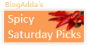 spicy saturday blogs india