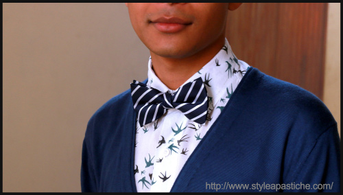 bow-ties-prints-men-fashion-collective