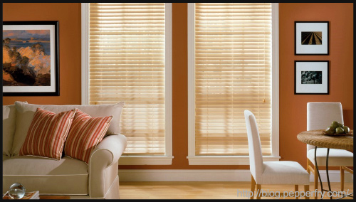 Blinds for your windows by PepperFry