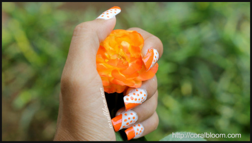 DIY Polka Nail Art - BlogAdda Collective