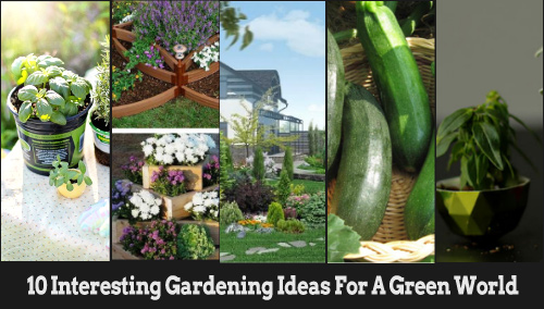 10-interesting-gardening-ideas-for-green-world-blogadda-collective