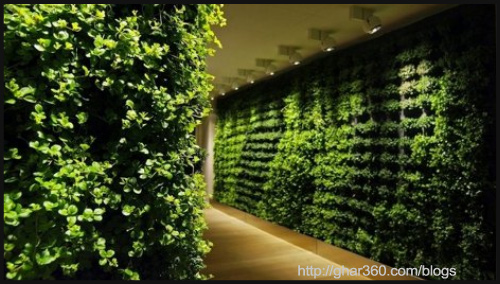 interesting-gardening-ideas-for-green-world-10-blogadda-collective