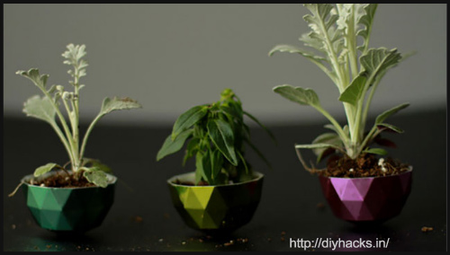 interesting-gardening-ideas-for-green-world-9-blogadda-collective