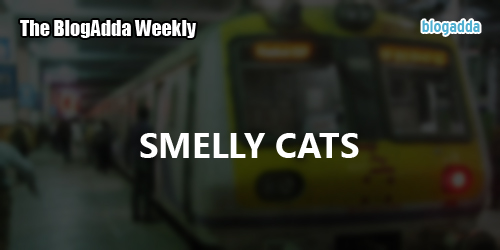 Smelly-Cats-In-Search-of-Local-Fauna