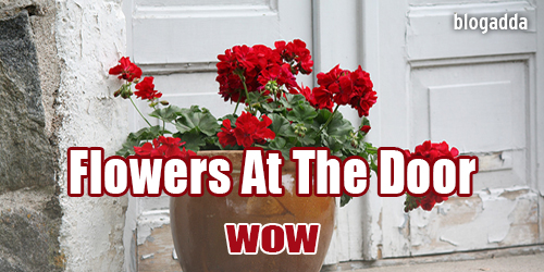 flowers-at-the-door-Wow